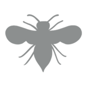 Wasp nest removal Wasp nest removal