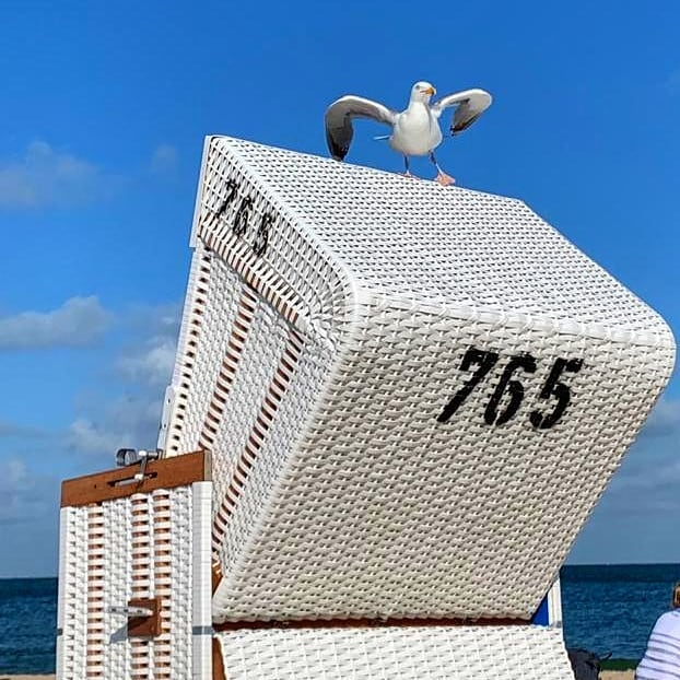 Strandkörbe gibt es überall an der Nord- und Ostsee