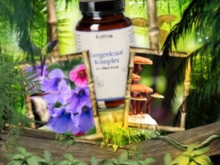 Lunge MSM Lungenkraut Waldkraft Bio