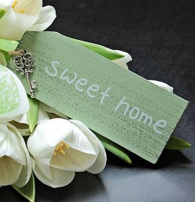 Essenzen für Konzentration, Raumklima, Duftspray, Aroma, Lichtwesen Essenzen