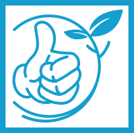 Grünflächen Pflege