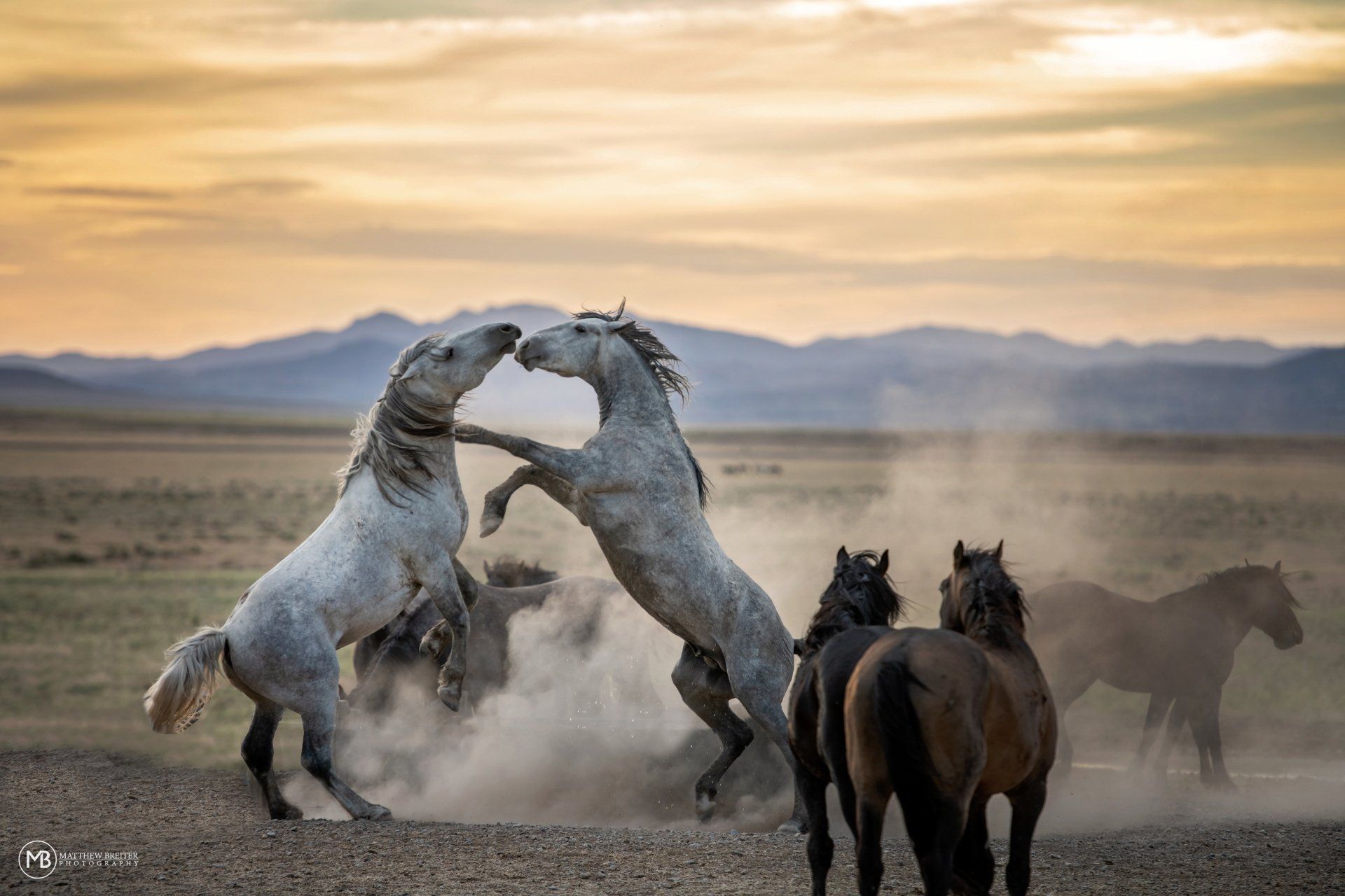 best landscape photography, breathtaking scenery, nature photography, stunning landscapes, world travel photos, scenic views