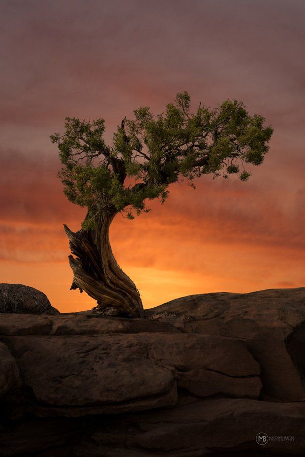 best landscape photography, breathtaking scenery, nature photography, stunning landscapes, world travel photos, scenic views