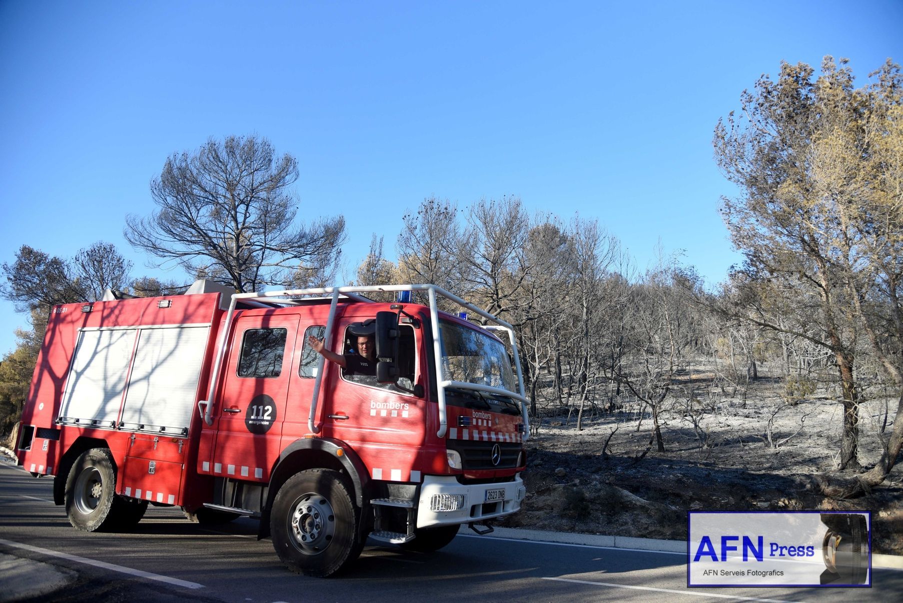 La silueta negra de un toro de Osborne a un costado de la Carretera Nacional N-232 en Alfajarín.