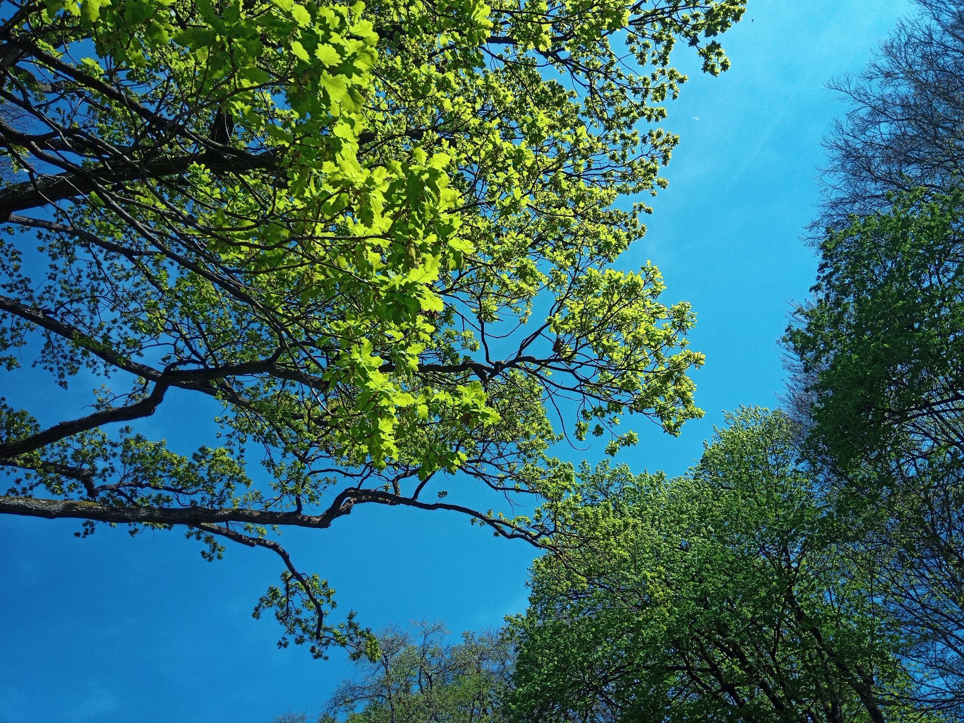 Immobilienmakler Augsburg: Bewertung.Beratung.Verkauf.Vermietung. Augsburg Bergheim im Frühling