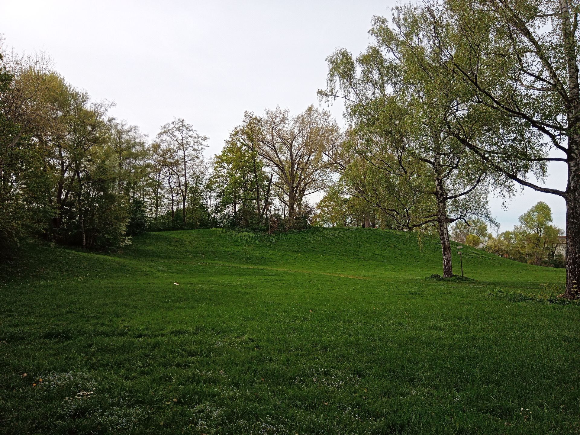 Viel Grün am Lech in der Firnhaberau, Augsburg. Immobilienmakler Augsburg: Bewertung.Beratung.Verkauf.Vermietung