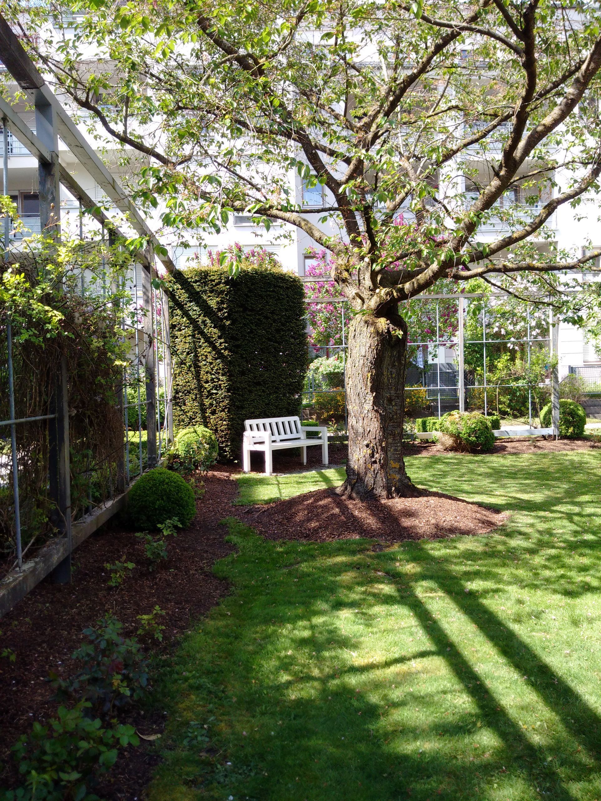 Immobilienvermietung, Mietvertrag, Marion Sens | Immobilienmaklerin und Immo-Mediatorin in Augsburg
Immobilienverkauf, Vermietung, Immobilienbewertung