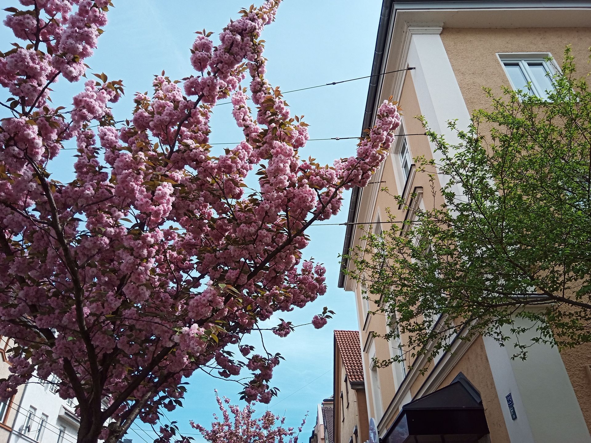 Immobilienmakler Augsburg: Bewertung.Beratung.Verkauf.Vermietung. Frühling in Augsburg Oberhausen
