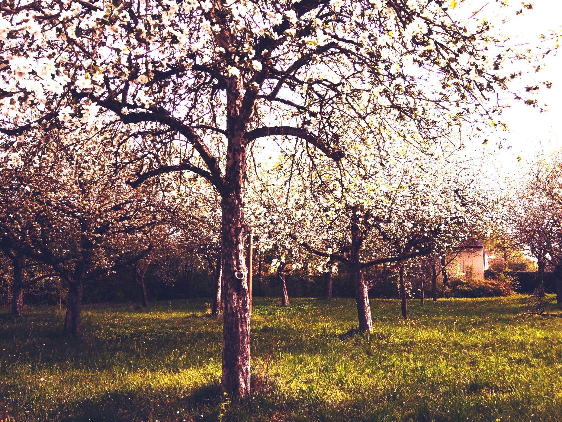 Siebenbrunn in Augsburg. Immobilienmakler Augsburg: Bewertung.Beratung.Verkauf.Vermietung