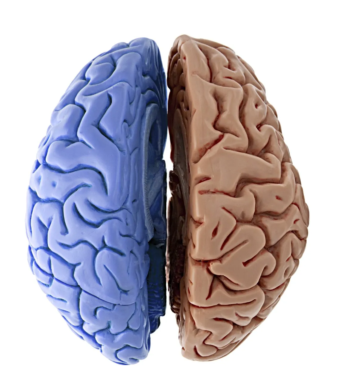 Genius Gesundheitskonzept für Unternehmen