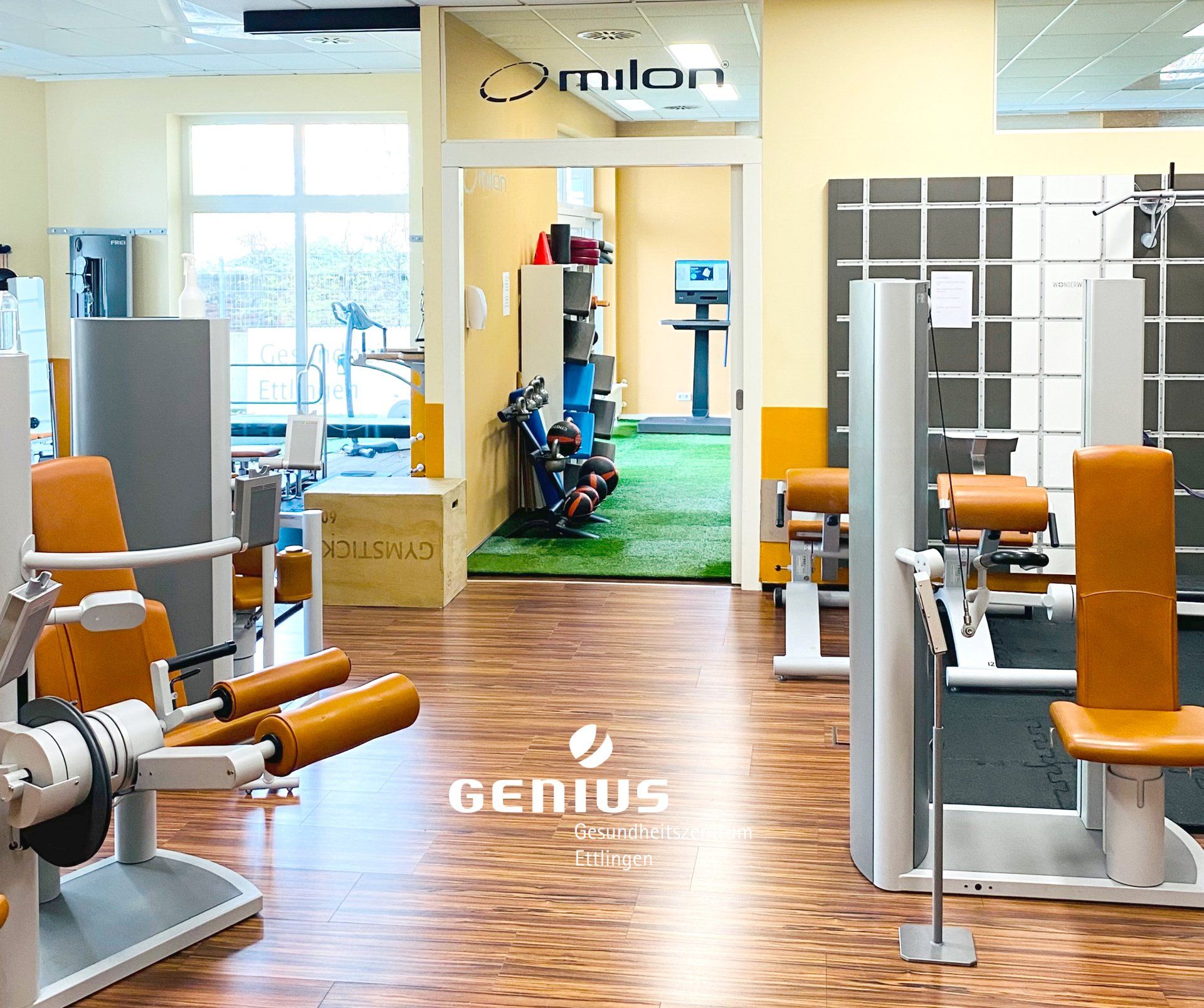 Trainer Team Genius