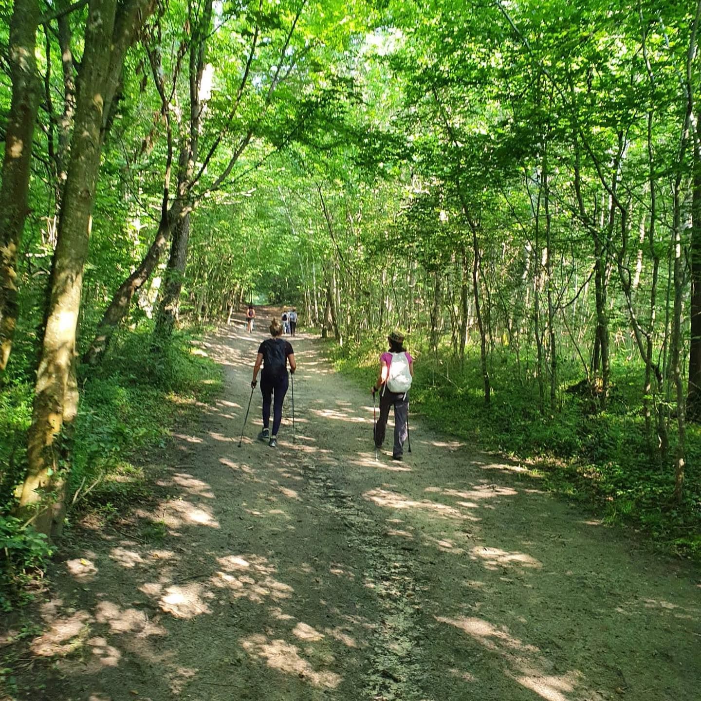 Marche nordique Marly le Roi 78