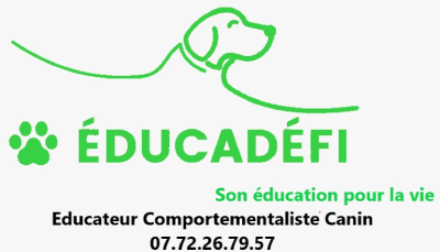EDUCADEFI-logo