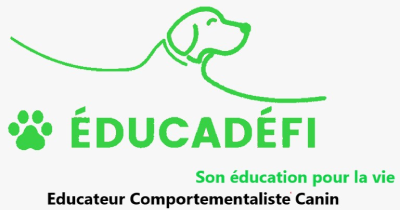 EDUCADEFI-logo