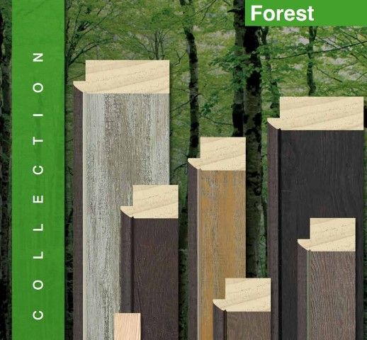 Télécharger le catalogue FOREST