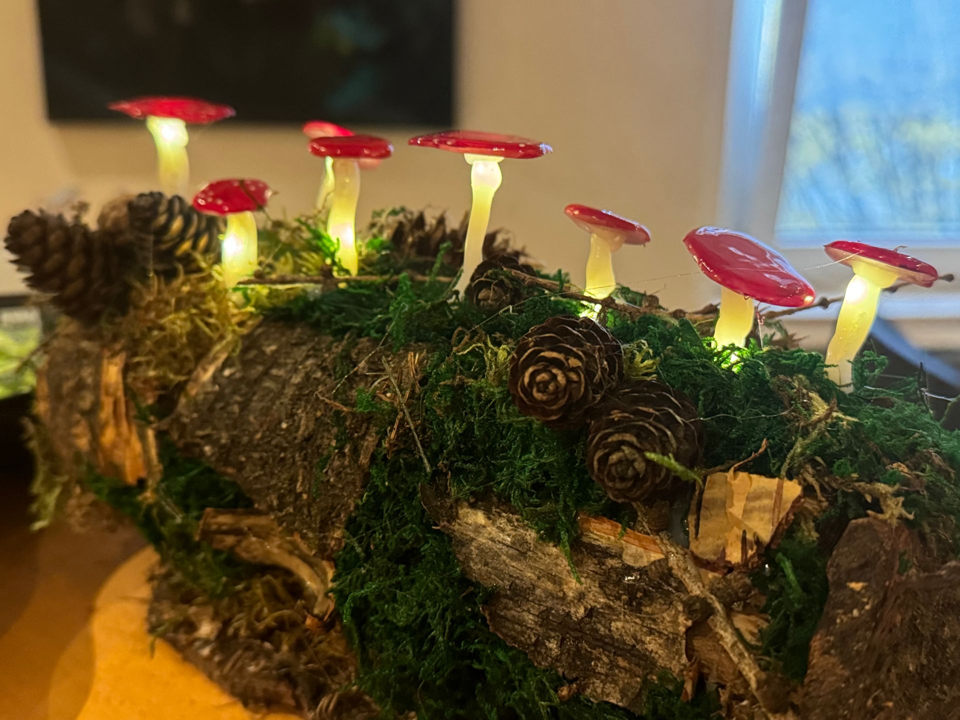 Natur, Pilze, LED, Recycling, Dekoration, Bastelarbeiten, Kurse, Natur