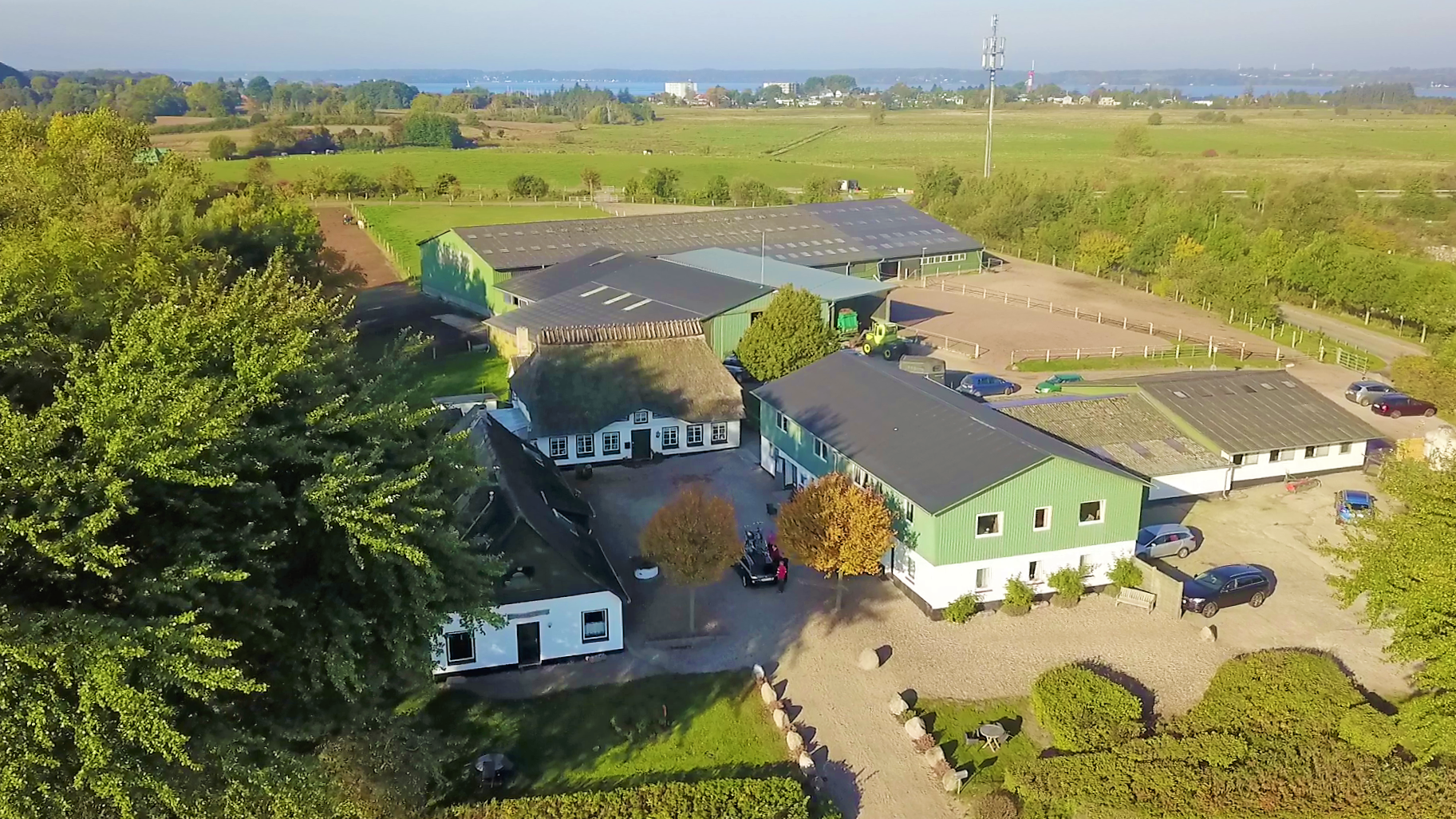 Schleswig Holstein, Glücksburg, Holnis, Ferienhof, Ferienwohnung, Ostsee, OpdeDrey, Strand, Ferienhof,  Pferdebetrieb, Reitstall, Urlaub, Ostsee, Strand, Segeln, Wandern, Angeln, Fischen