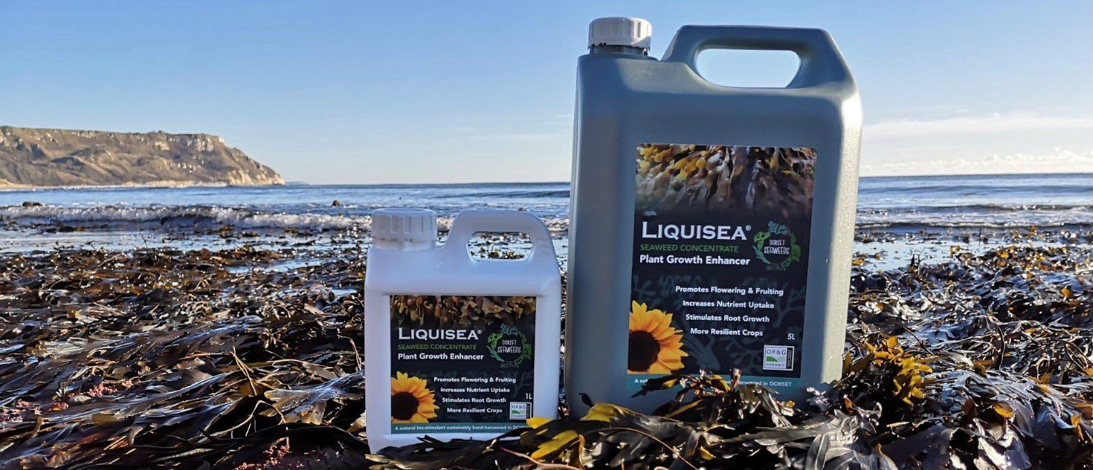 Dorset Seaweeds LIQUISEA Seaweed Based Plant Feeds