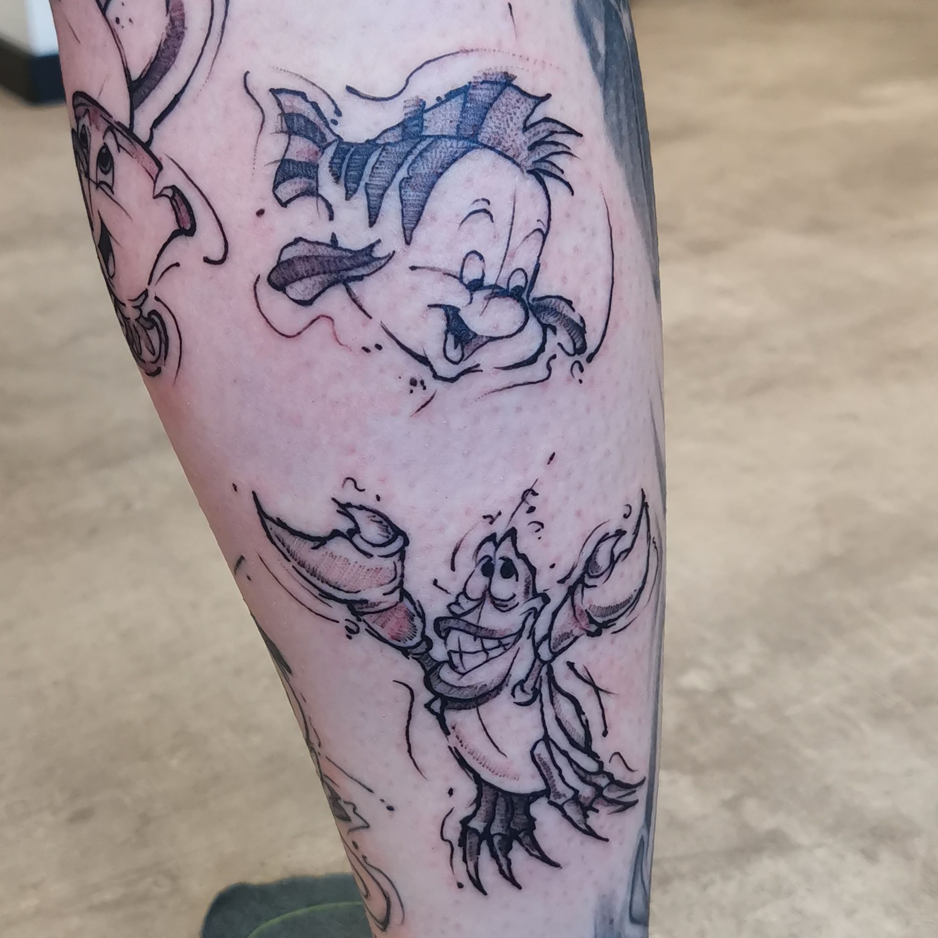 Fabius und Sebastian