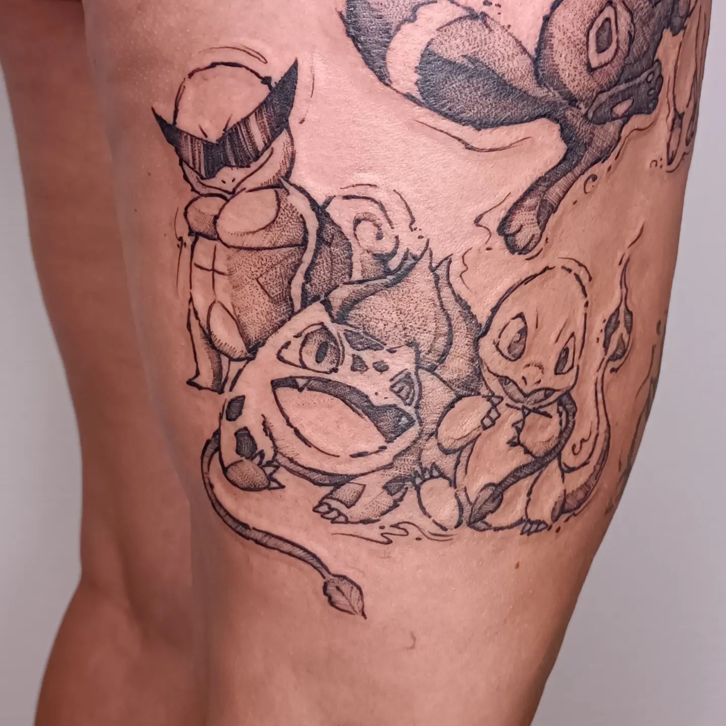 Schiggy, Glumanda und Bisasam