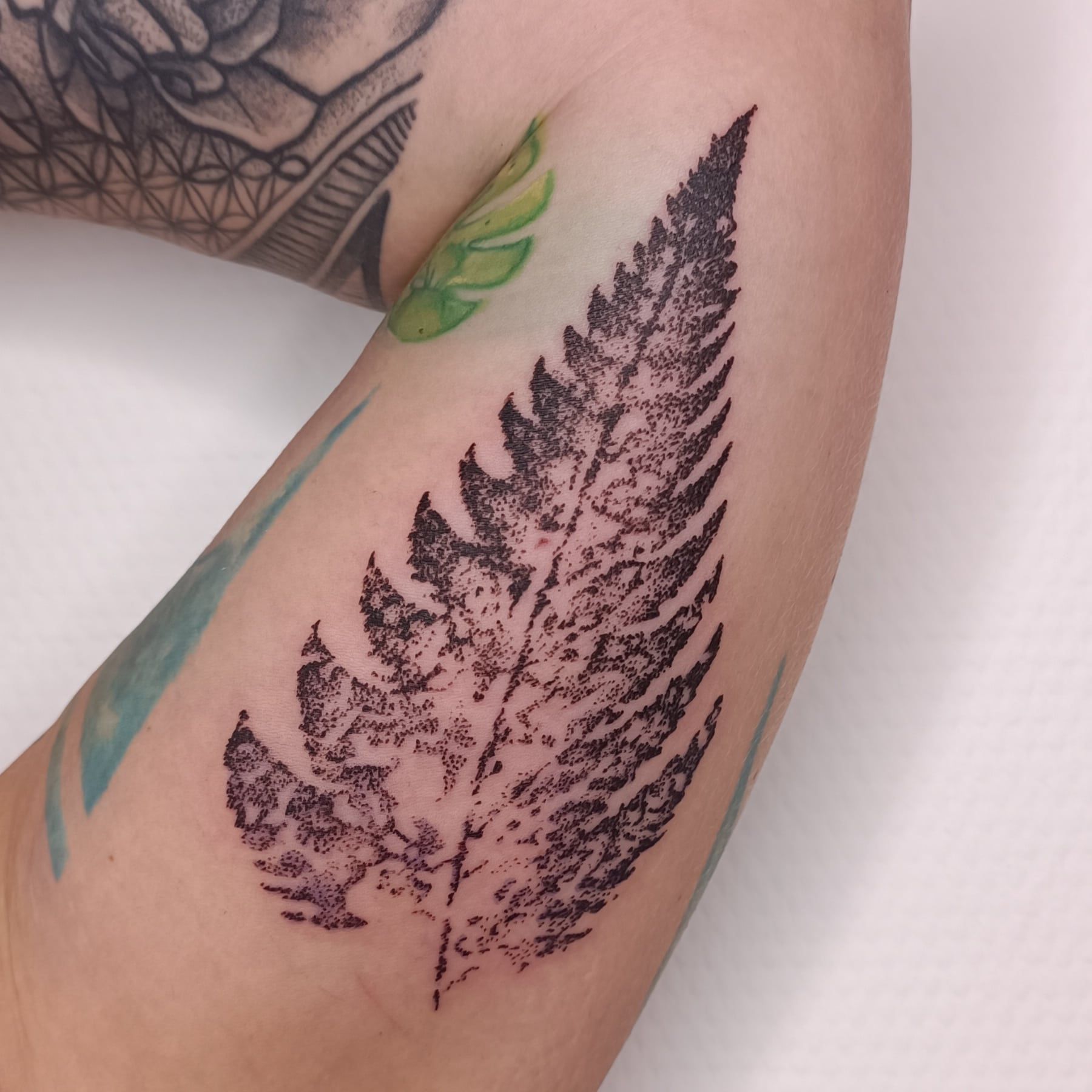Dotwork Fern Tattoo. Ein Farn Tattoo im Dotwork Tattoo Stil .