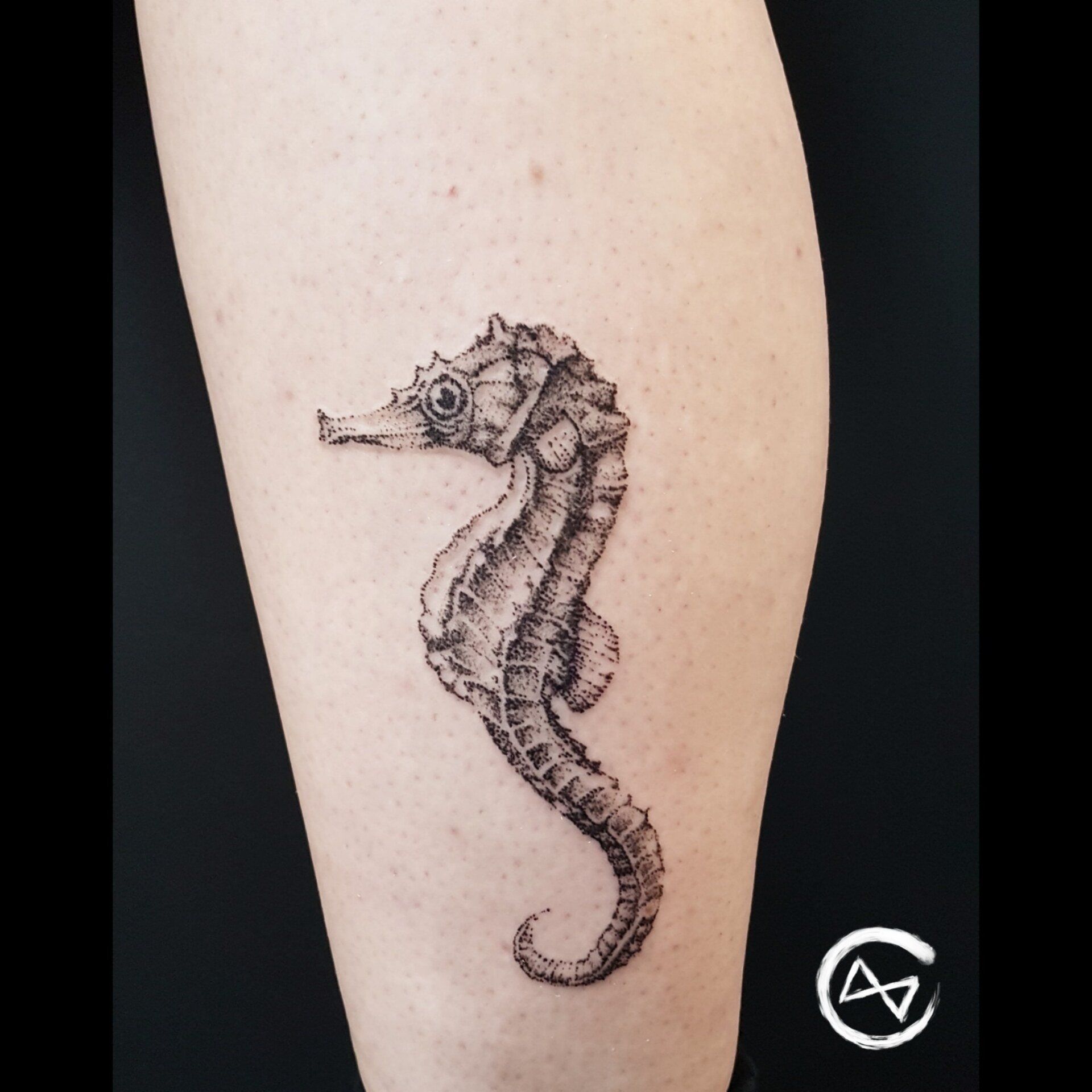 Dotwork Tattoo eines Seepferdchens.
Dotwork Tattoo Studio Flensburg