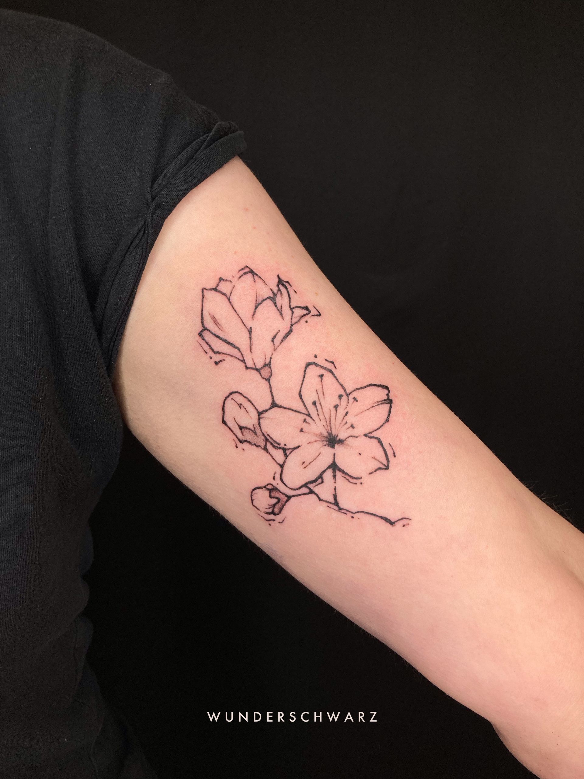 Kirschblüten Tattoo in sketchy