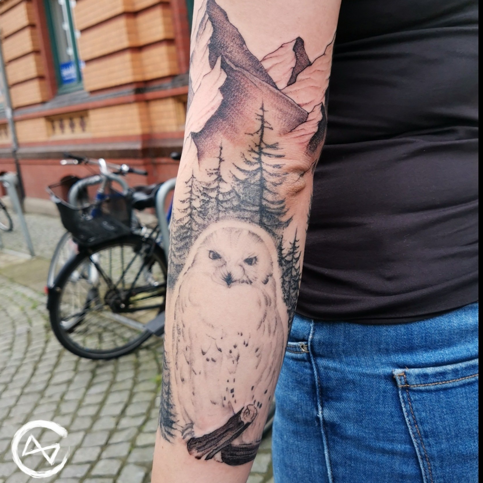Harry Potter HP Hedwig Eulen Owl Tattoo Flensburg Tattoo Studio Sketchytattoo Sketchy Sketch Tätowiererin Schleswig-Holstein Fantattoo