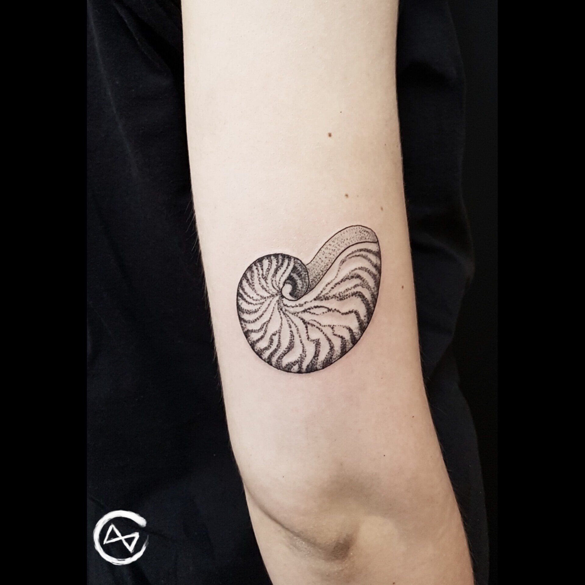 Muscheltattoo in Dotwork. Dotwork Tattoo Studio Flensburg, Schwarze Zeit Tattoo