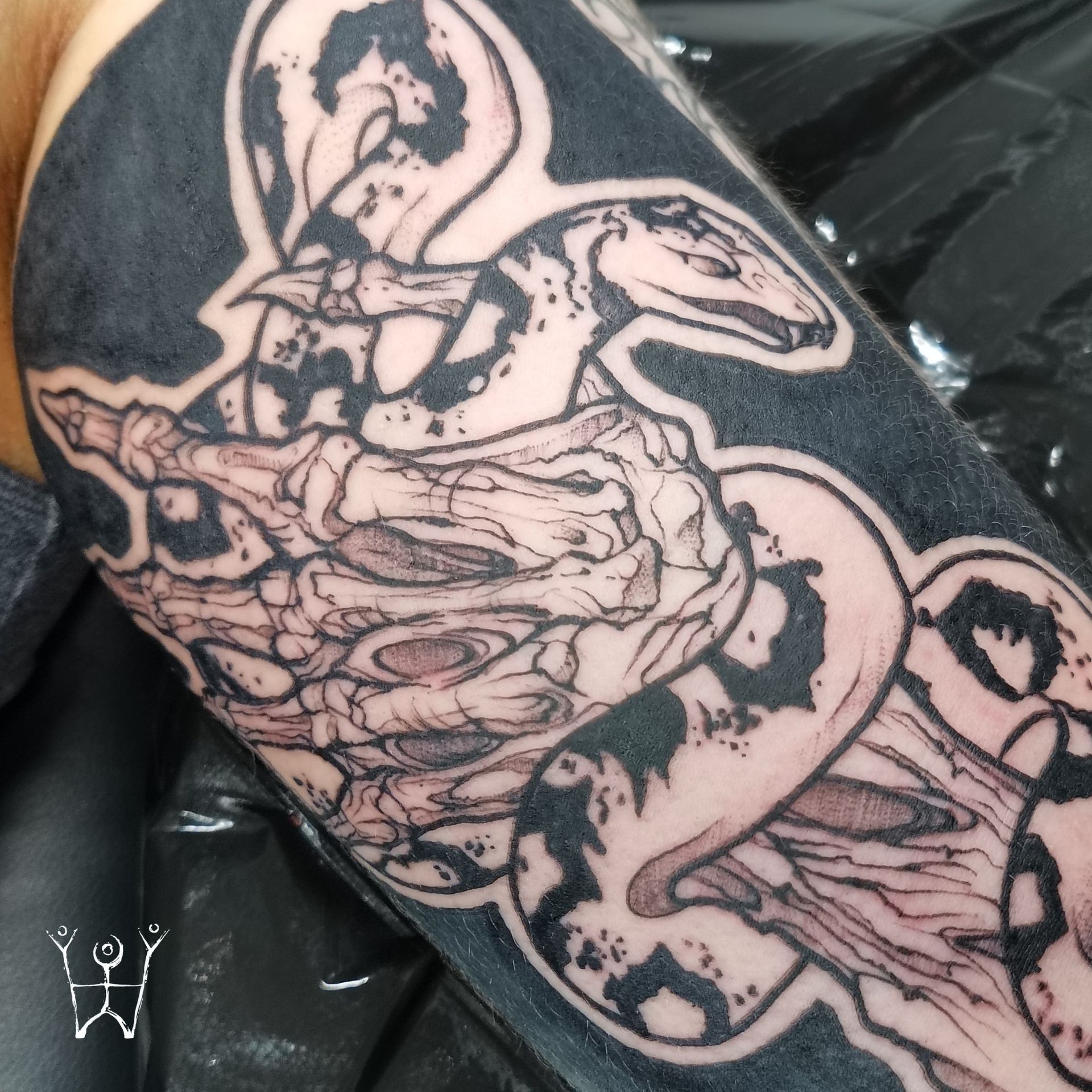 Blackwork Schlange Sketch