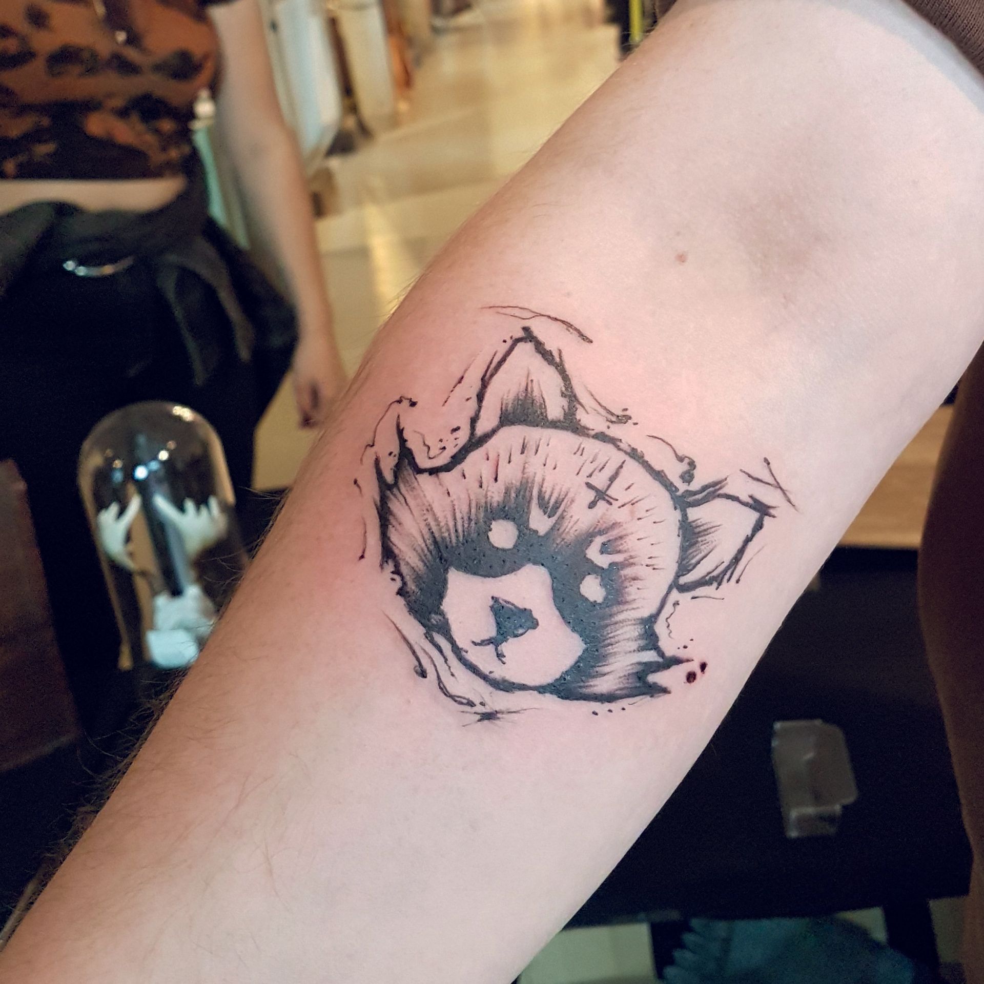 Raccoon Waschbär sketchy Tattoo Studio Flensburg Sketchy Sketch Schwarze Zeit