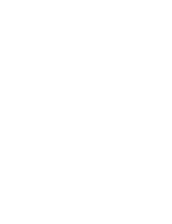 Stigma Company Logo