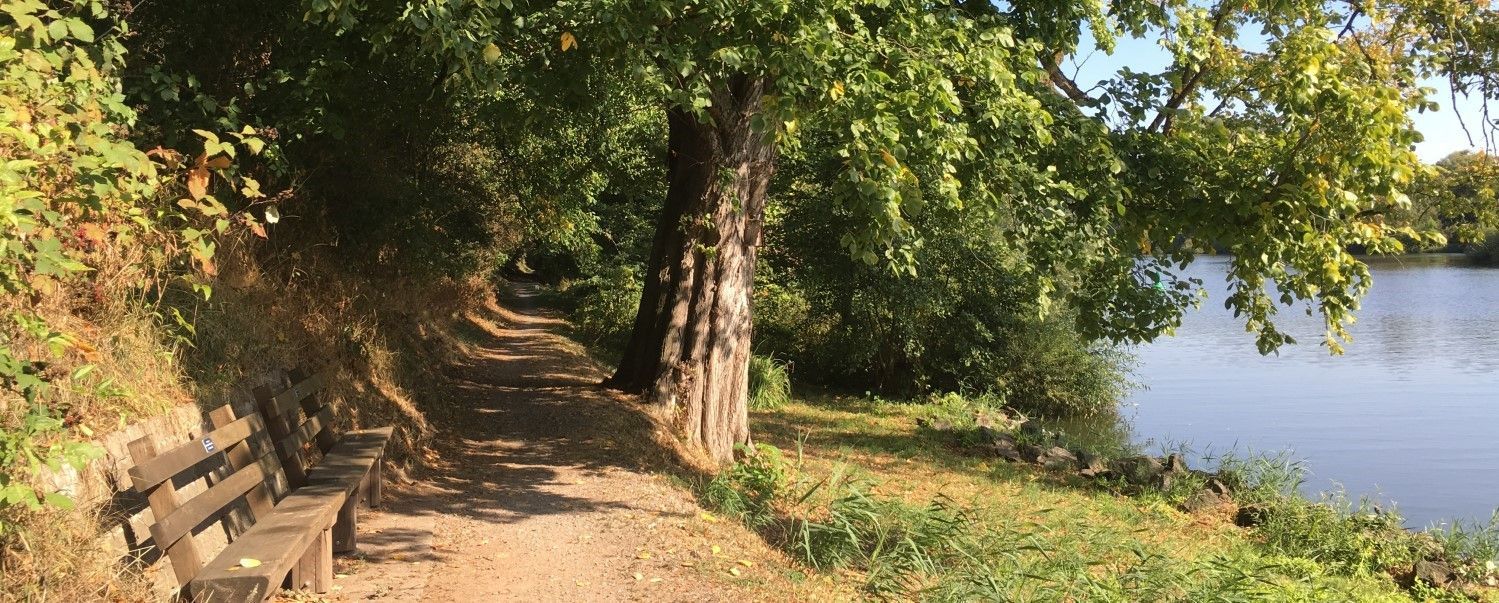 Ruhebänke am Saurain entlang des Ruhebänke am Saurain entlang des