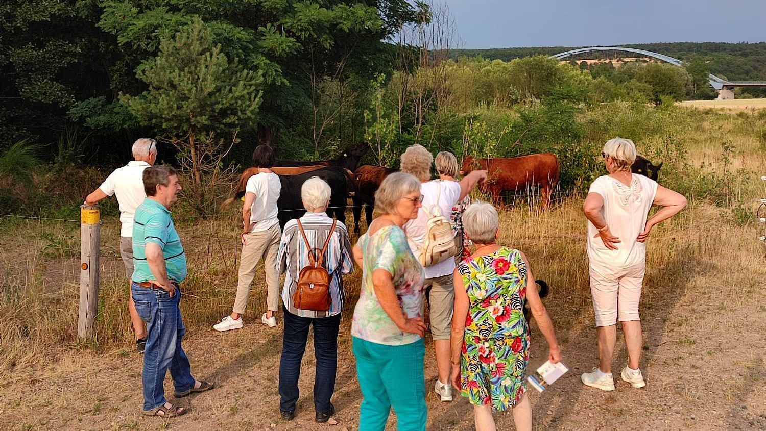 Kulturweg Niedernberg: Angusrinder Kulturweg Niedernberg: Angusrinder