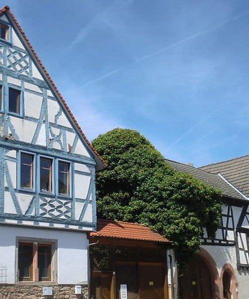 Fränkische Hofreite Fränkische Hofreite