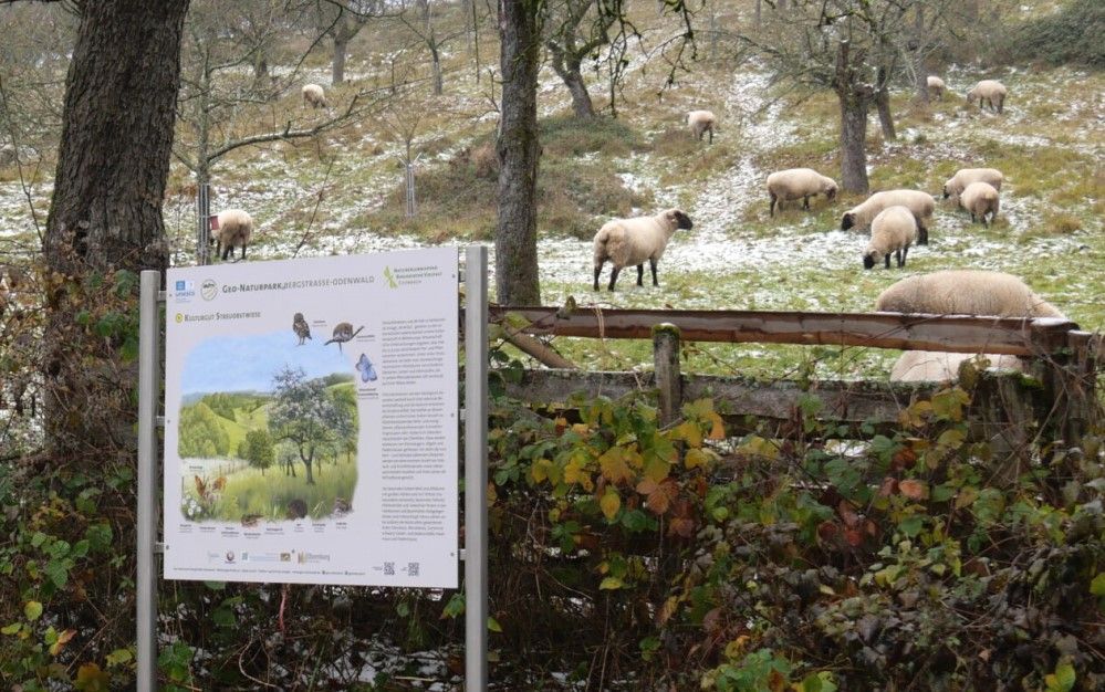 Geopark Pfad Obernburg-Eisenbach