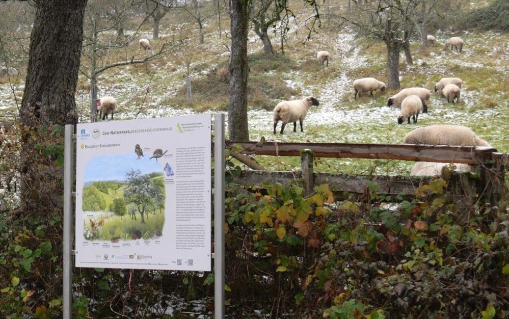 Hier klicken zum Geopark Pfad Obernburg-Eisenbach Geopark Pfad Obernburg-Eisenbach