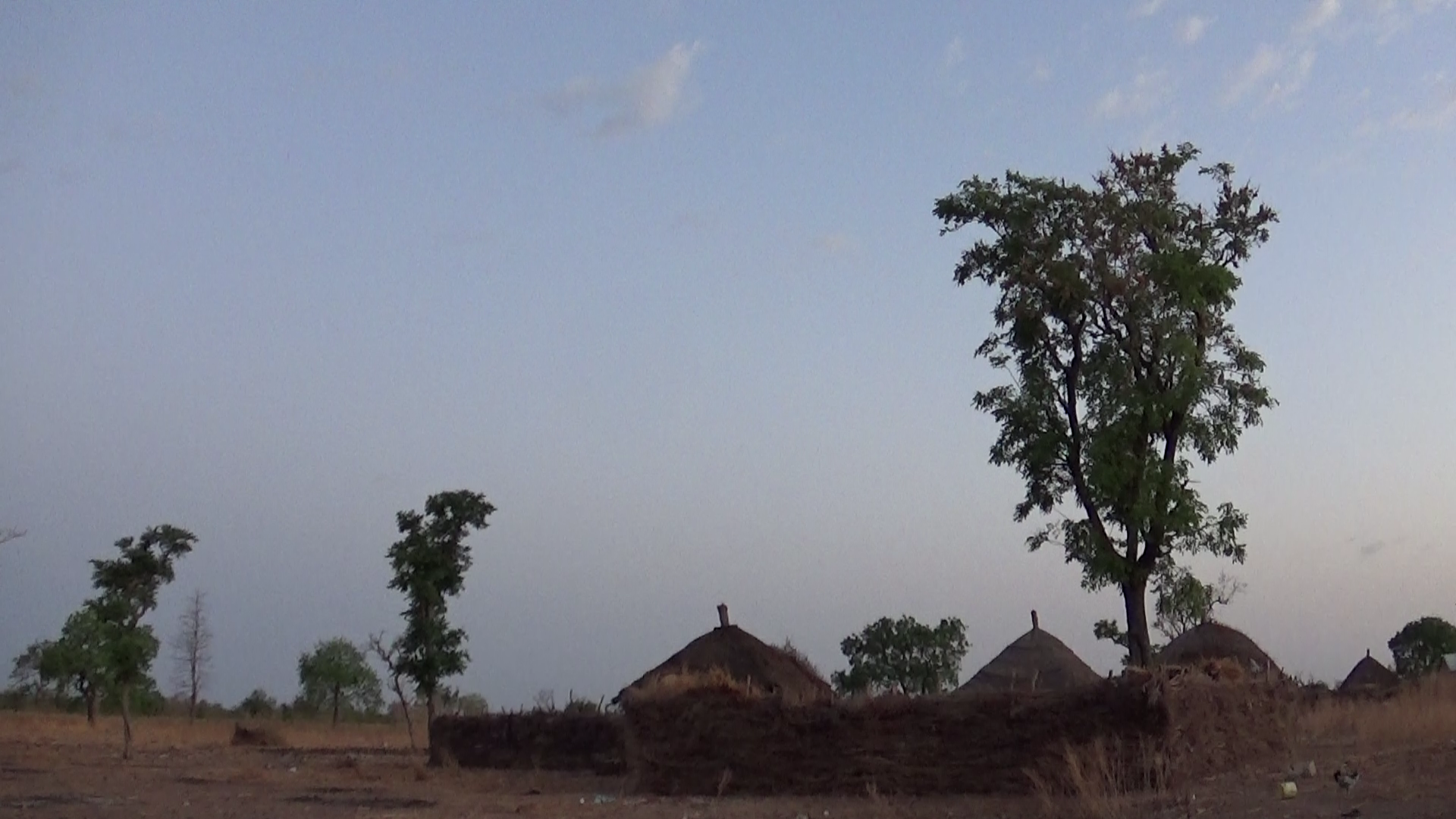 les familles habitent regroupées dans des cases entourées d'une palissade en herbes sèches