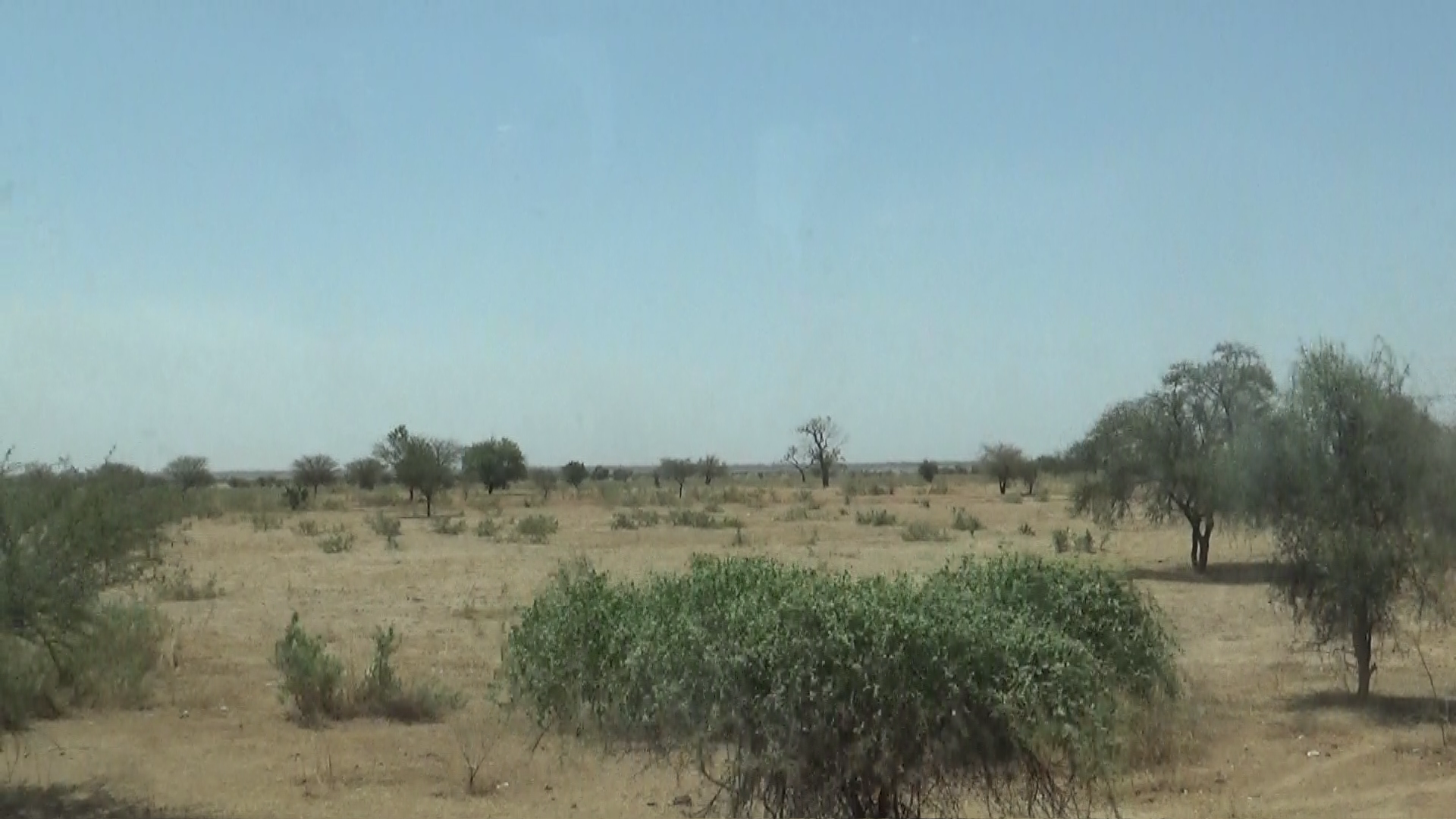 savane africaine vers Koungheul