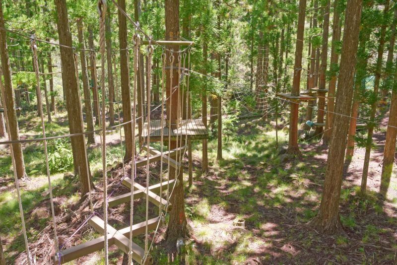 L'aventure grandeur Nature