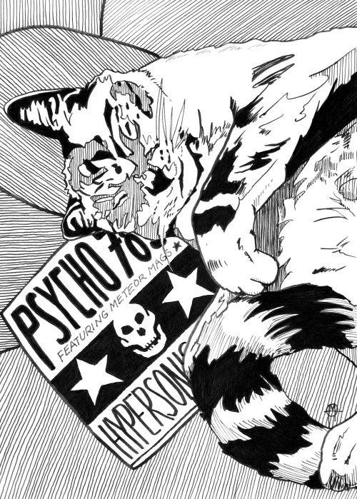 Tesla Napping on Psycho 78s Cover