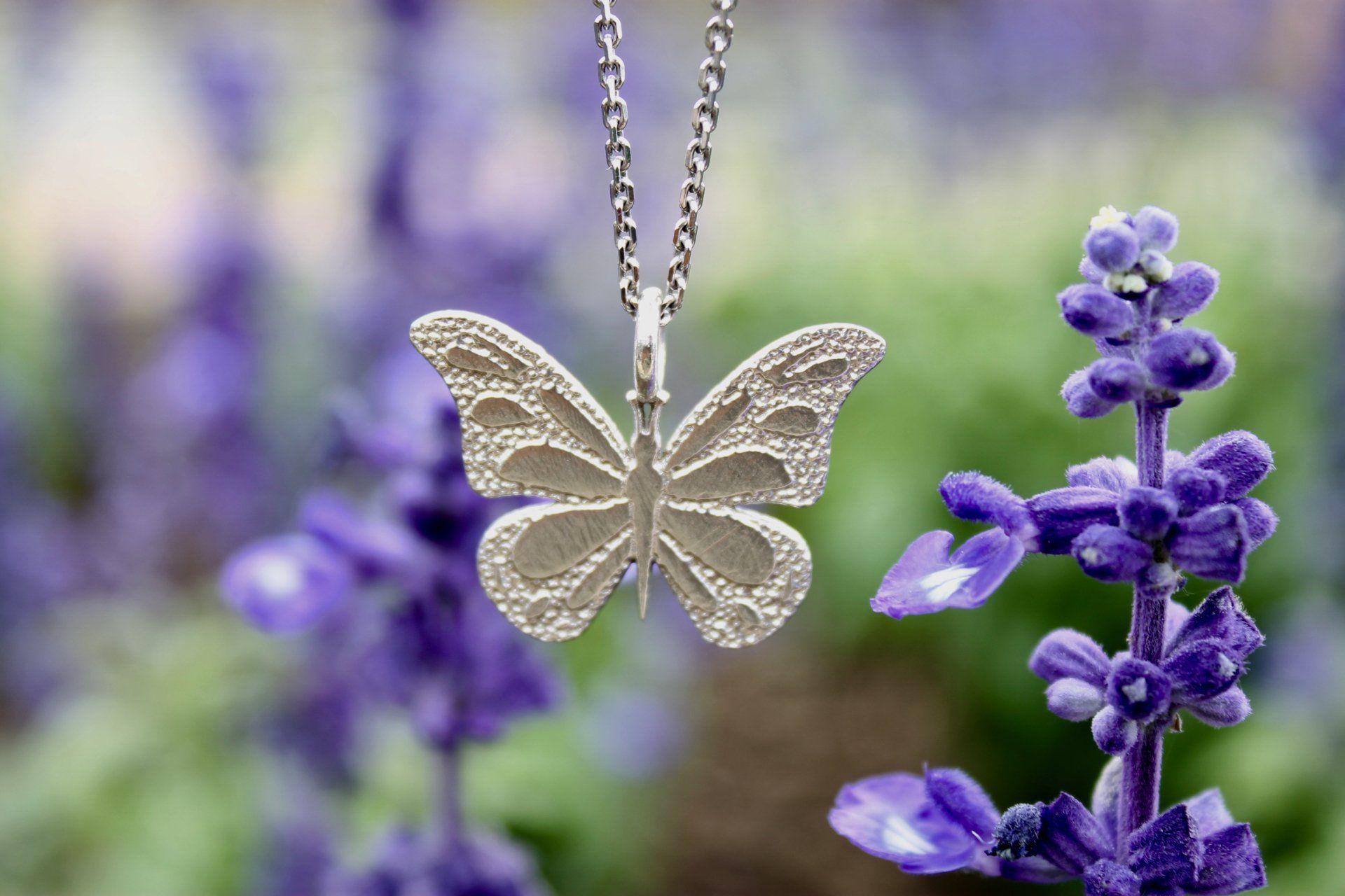 Butterfly, Butterfly jewlery