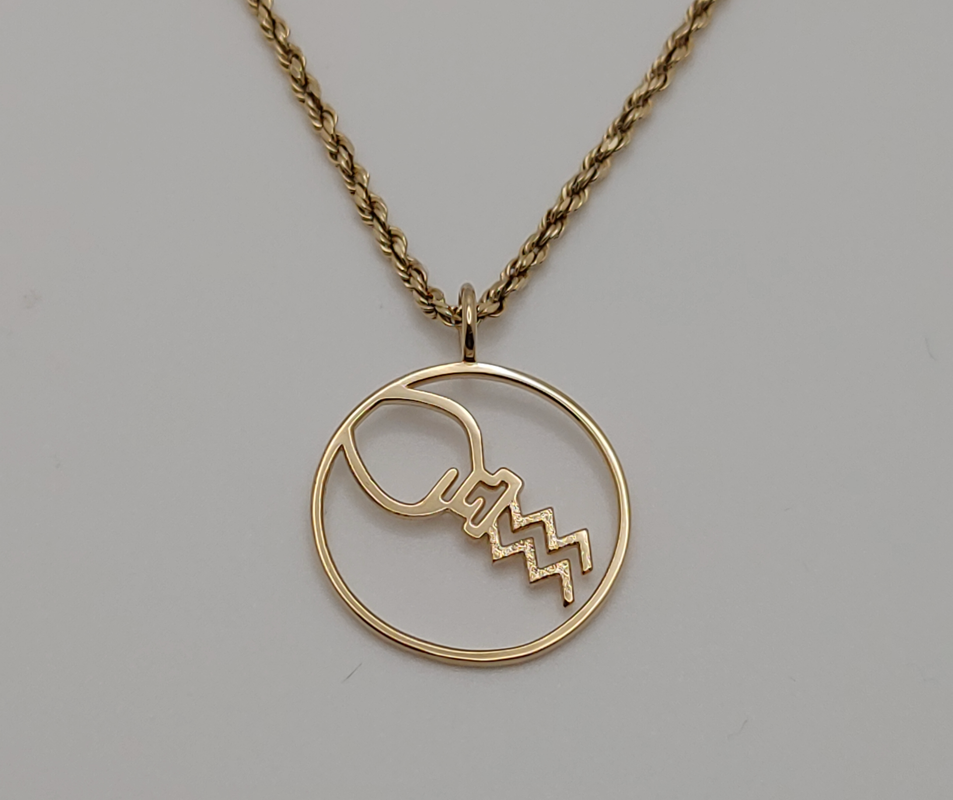 Aquarius, zodiac sign