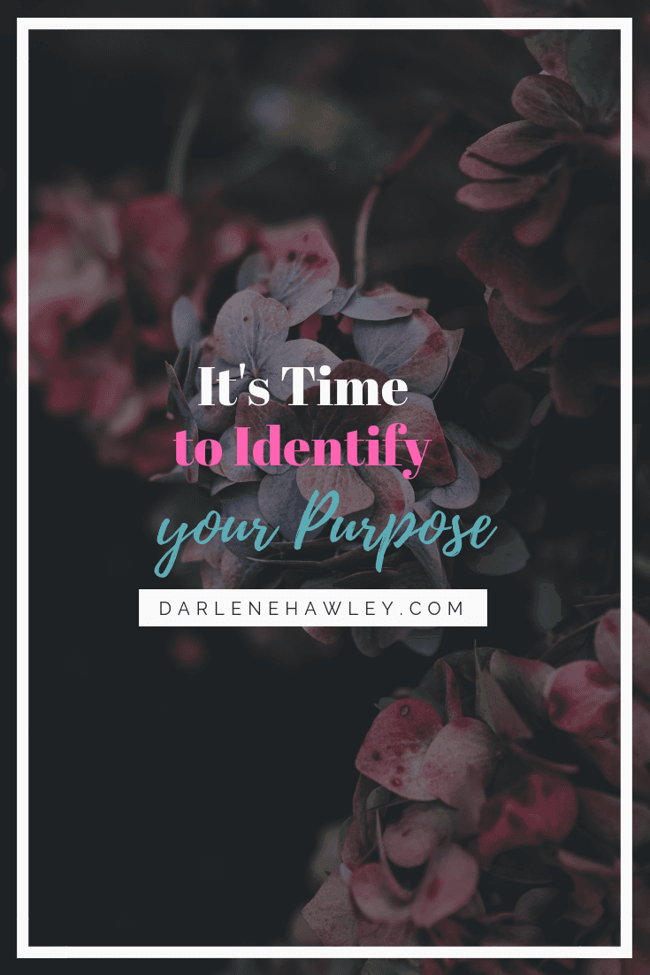 Darlene Hawley, Personal Branding & Business Coach for online service based business owners Darlene Hawley, Personal Branding & Business Coach for online service based business owners