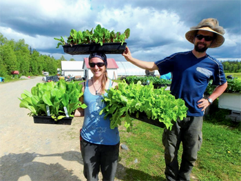 Always work to be done