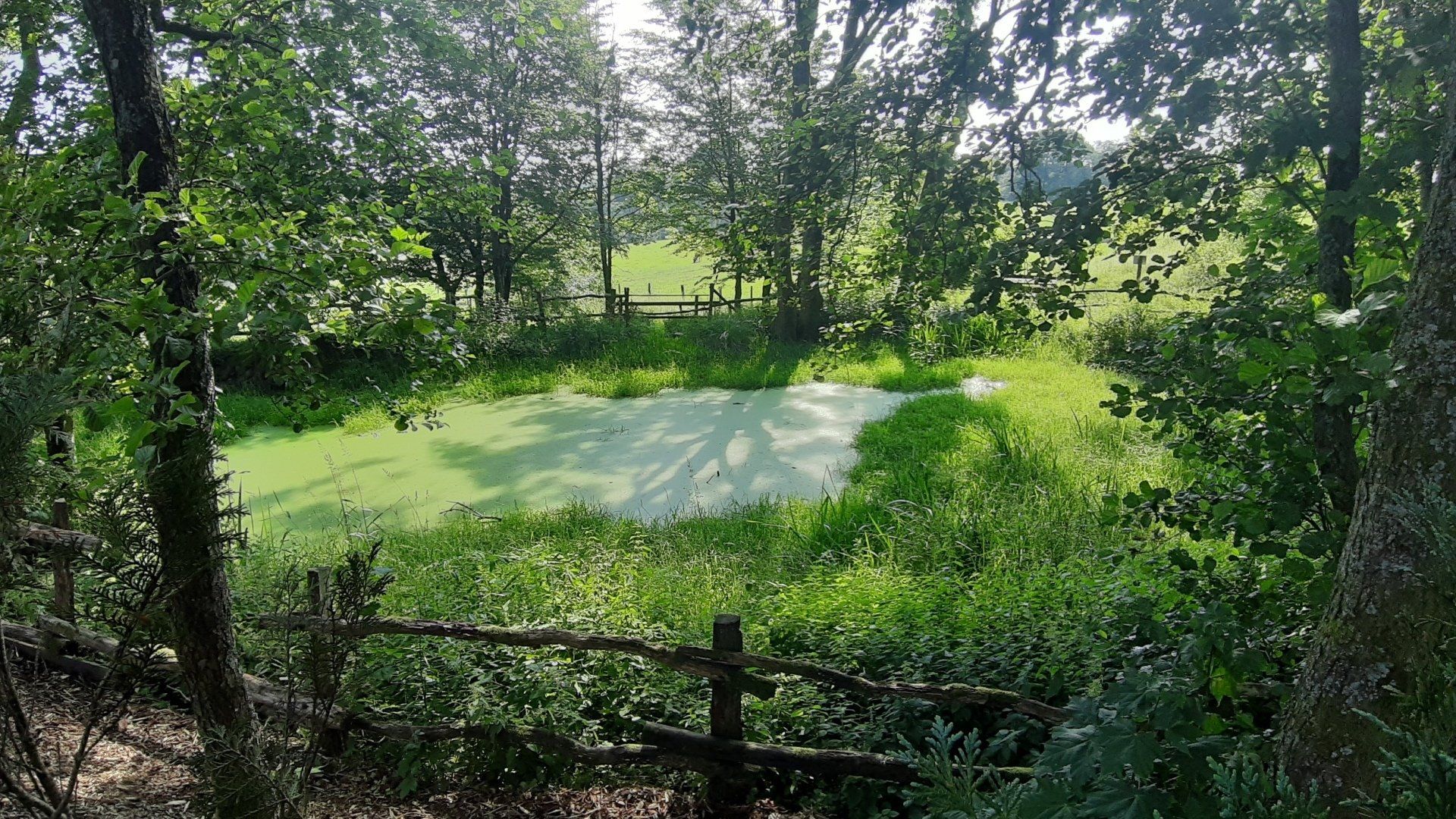 Lahntopf Lahnquelle - Ferienwohnung Brälu - Dautphetal Lahntal Ferien Urlaub - Ebike Wandern