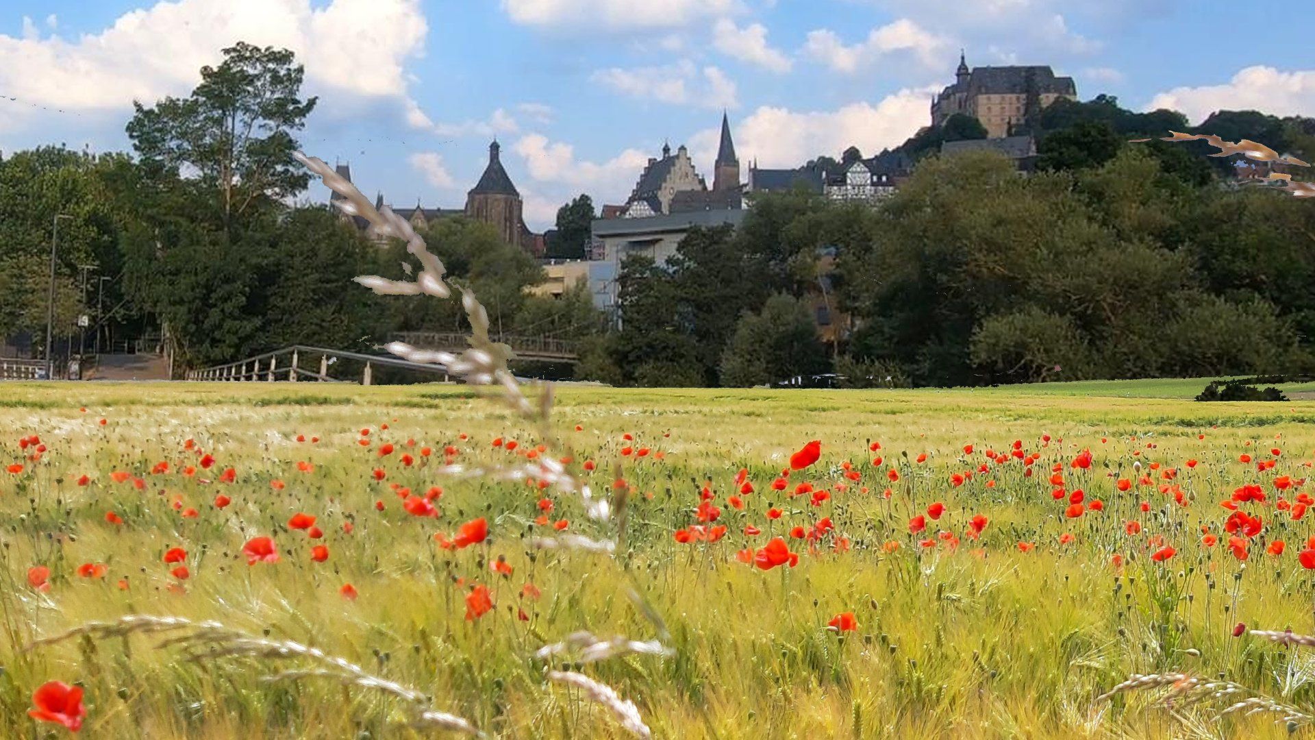 Ferienwohnung Brälu - Lahnradweg Friedensdorf Marburg - Ebike Tour Dautphetal Lahntal Aktiv Ferien Urlaub - Radfahren Wandern