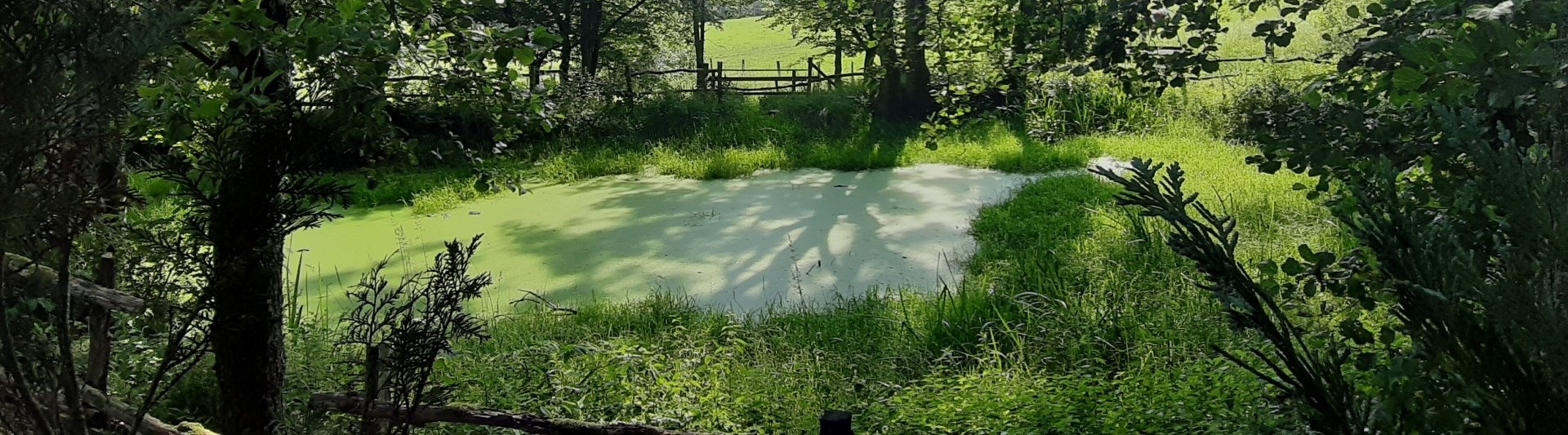 Lahnquelle Lahnhof Lahntopf - Ferienwohnung Brälu - Dautphetal Lahntal Ferien Urlaub - Ebike Wandern