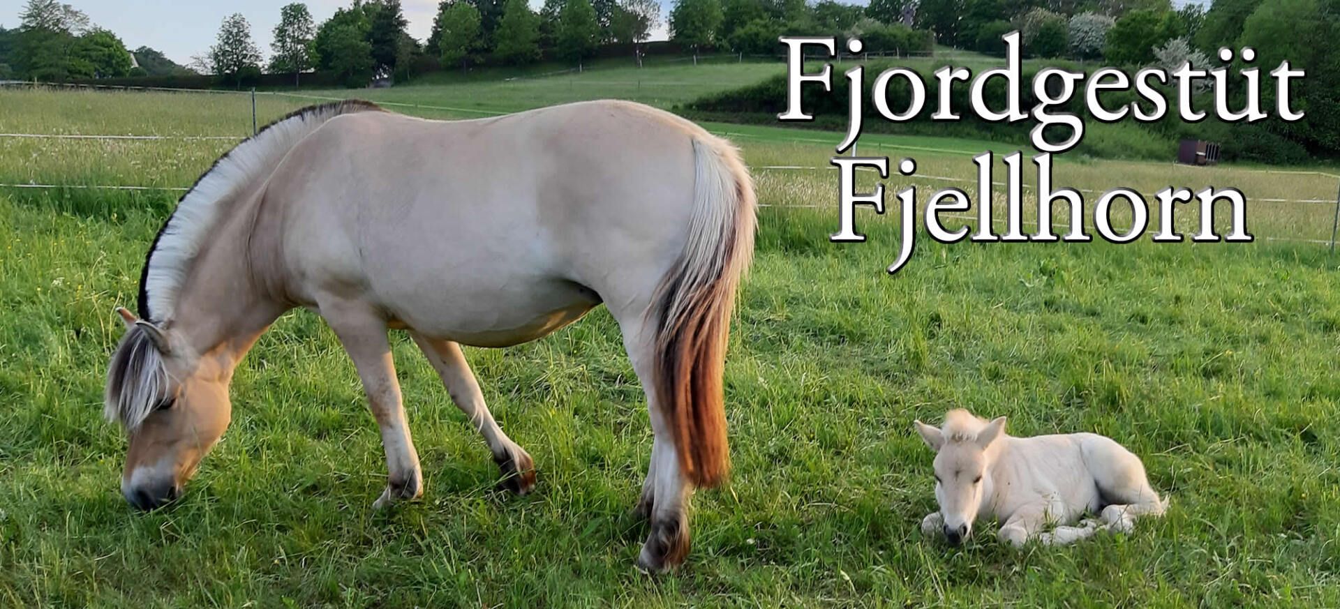 Lahnradweg, Lahnhöhenweg, Shenswürdigkeiten - Ferienwohnung Brälu Dautphetal Friedensdorf - Ferienwohnung Henkel Friedensdorf -Sehenswertes Urlaub Erholung Ferien