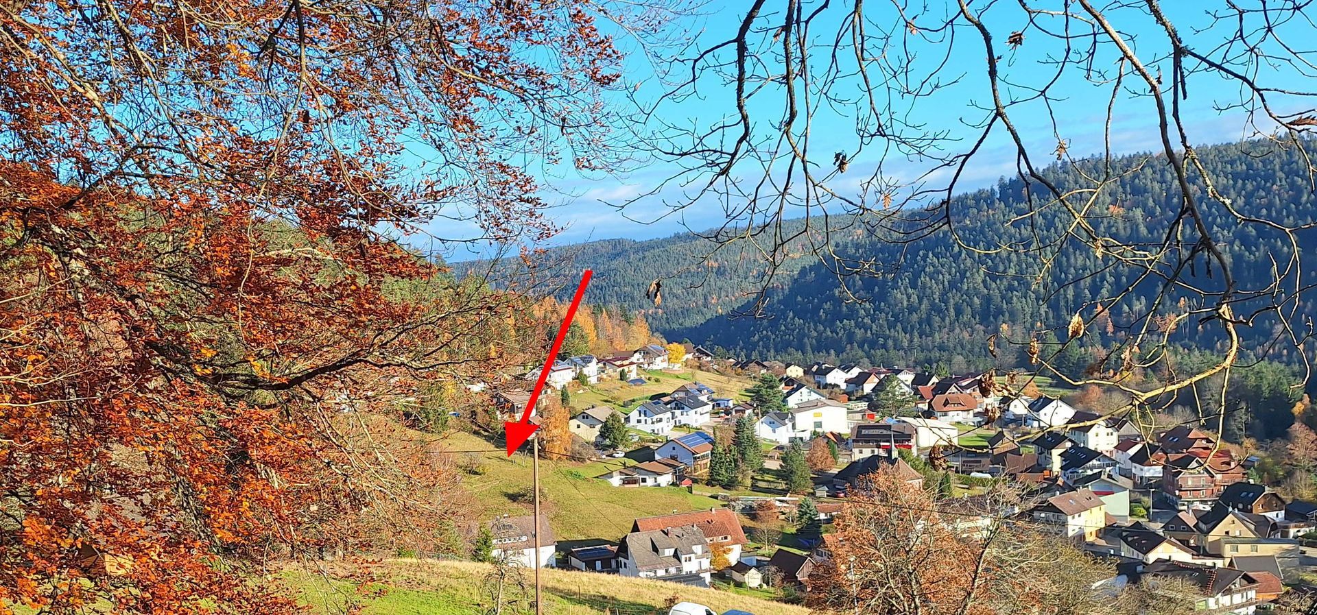 Grundstück in Bad Wildbad-Sprollenhaus